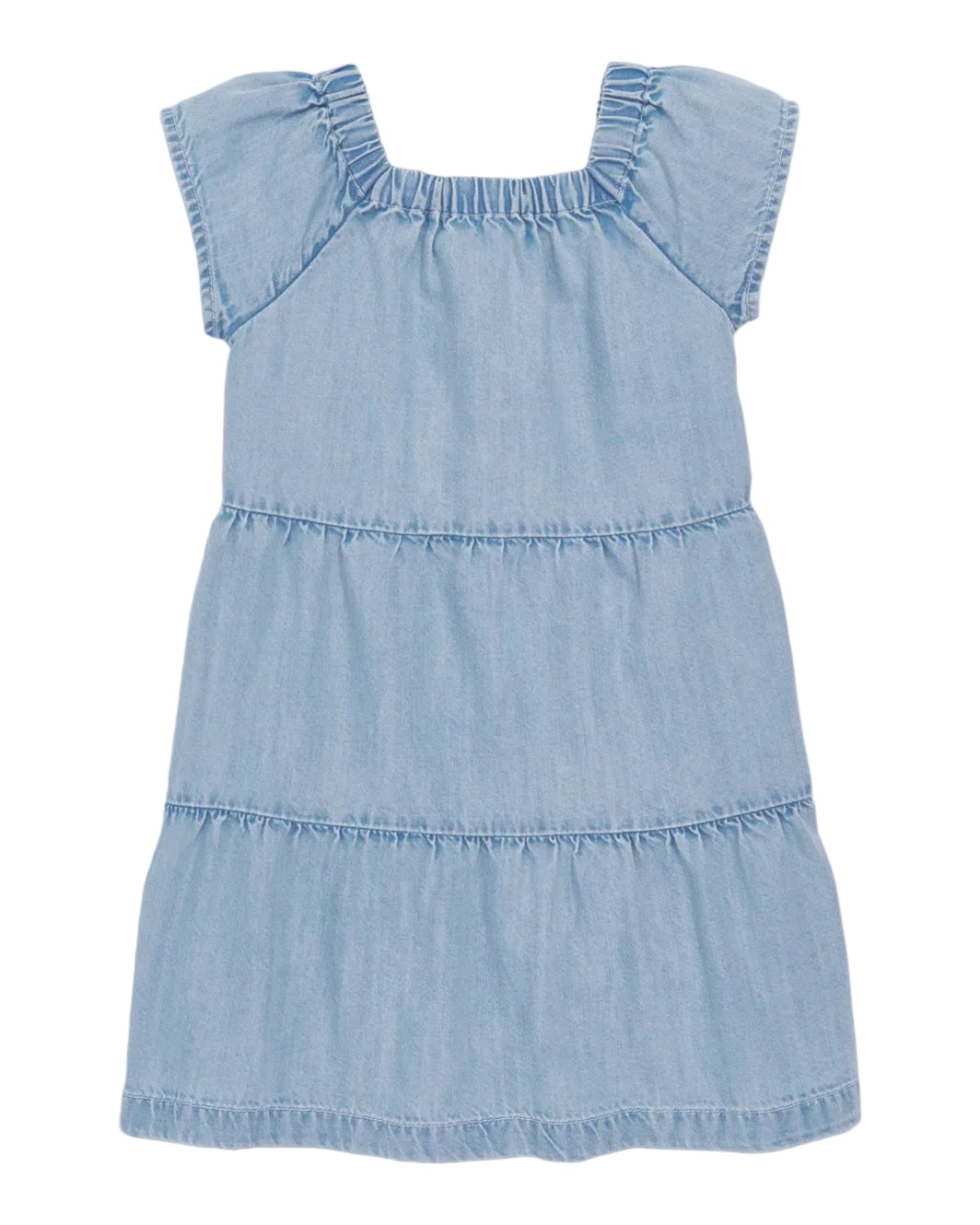 Chambray Picnic Dress