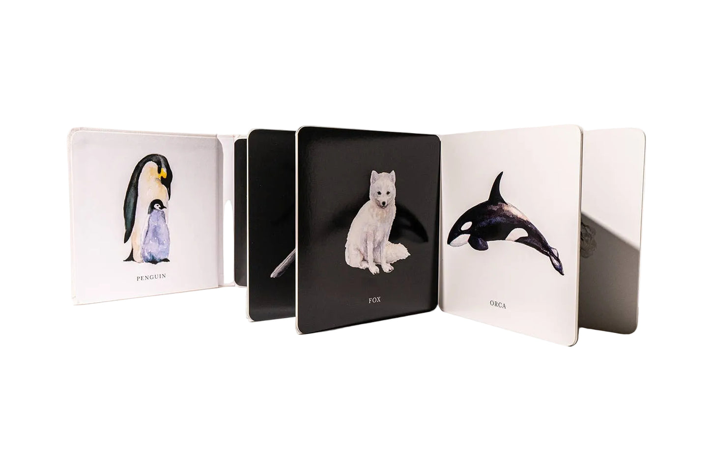Black and White Contrast Book for Baby