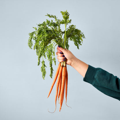 Carrot Bunch Garden Seed Pop
