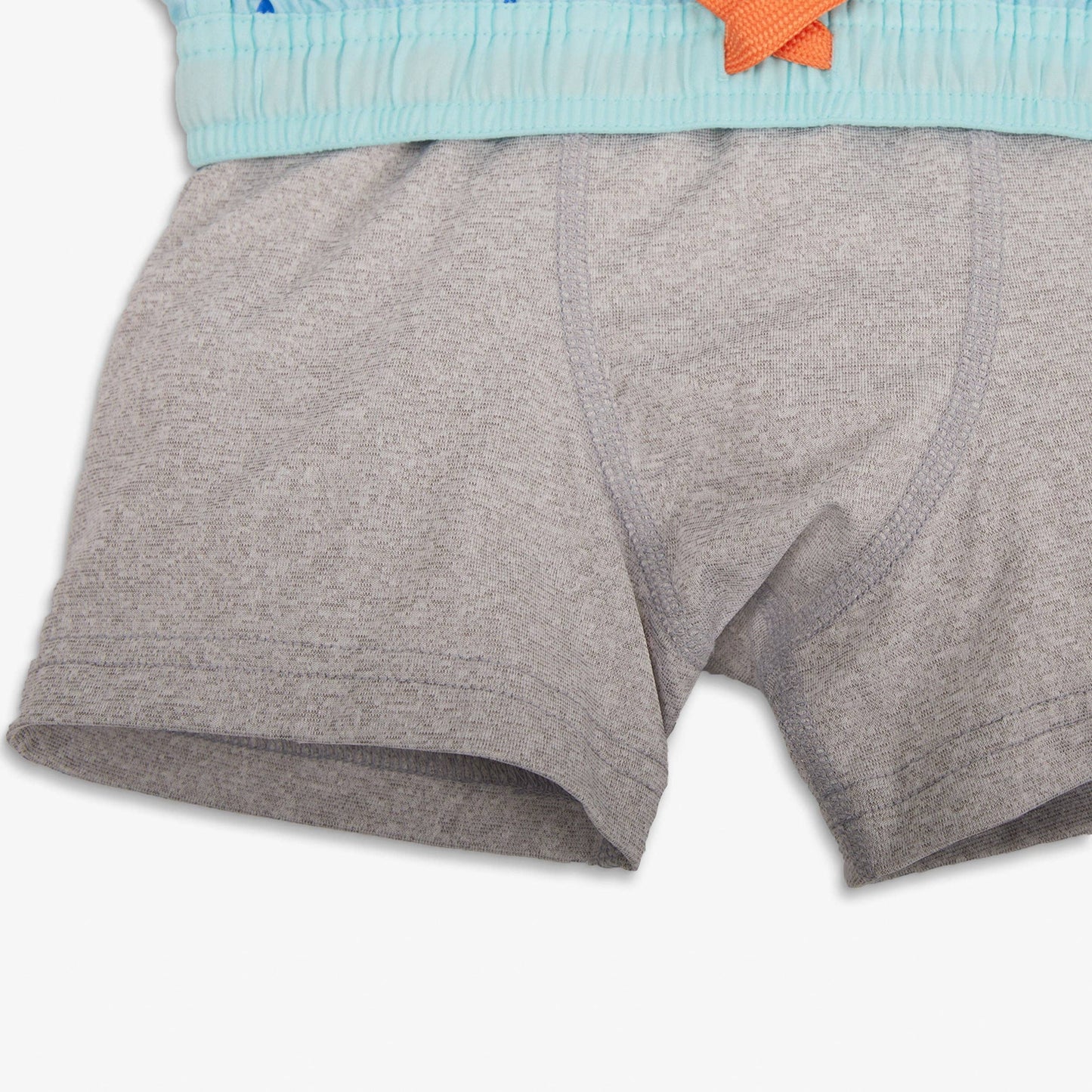 Blueberry Striped Swim Trunk