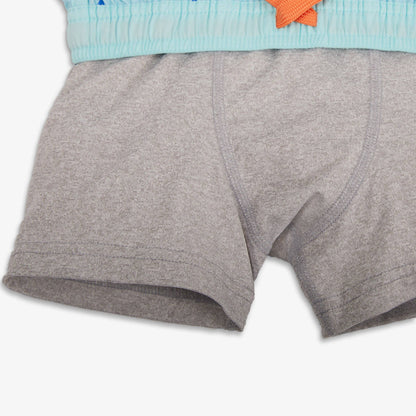 Blueberry Striped Swim Trunk