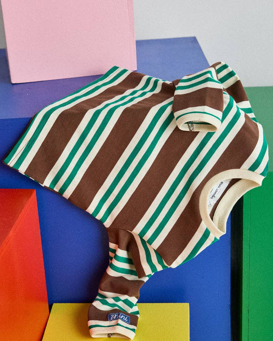 Striped Heavyweight Long Sleeve Tee - Green