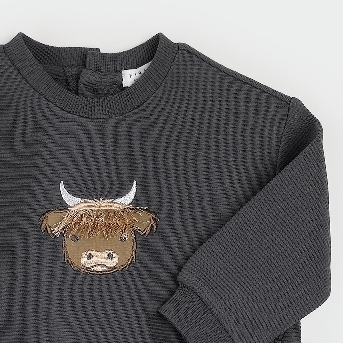Sweatshirt and Leggings- Long Horn Cow