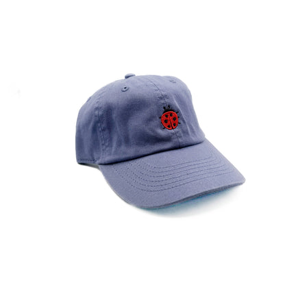Tiny Ladybug Baseball Hat