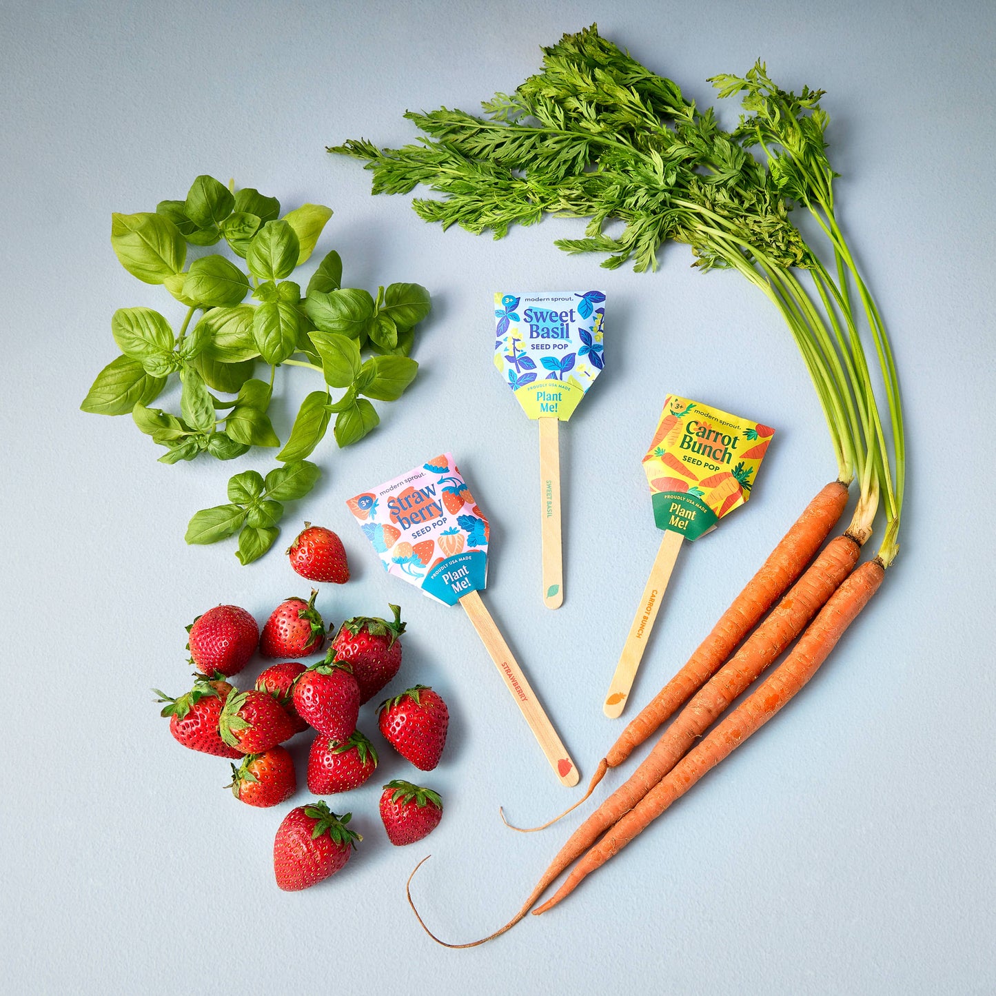 Carrot Bunch Garden Seed Pop