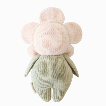 Baby Daisy - Blush Pink