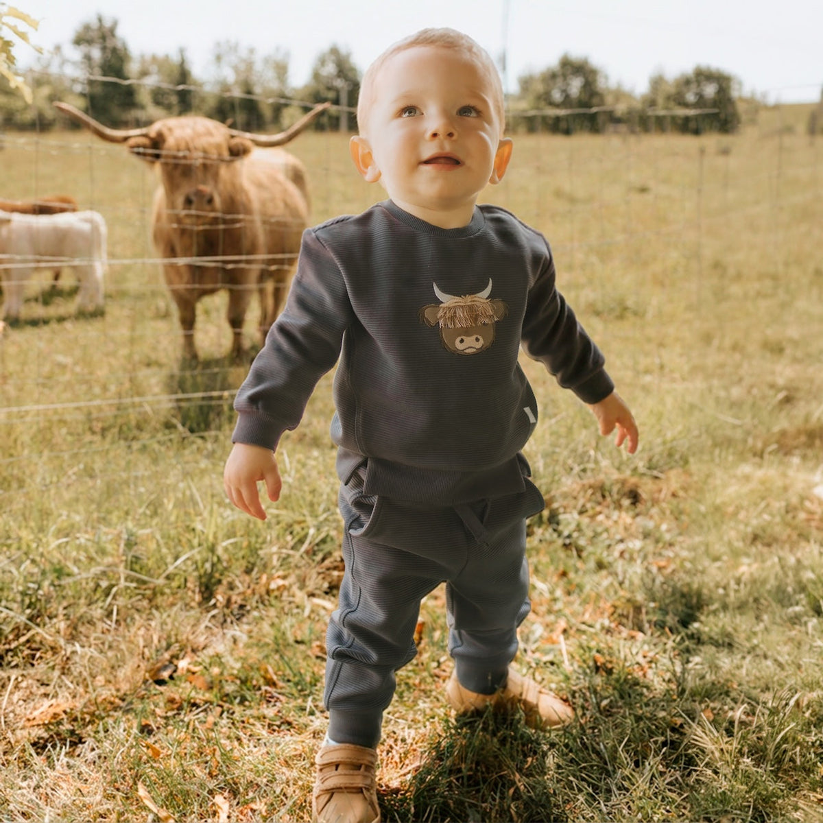 Sweatshirt and Leggings- Long Horn Cow