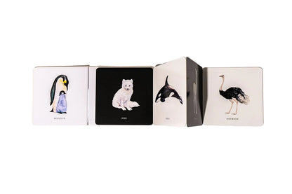 Black and White Contrast Book for Baby