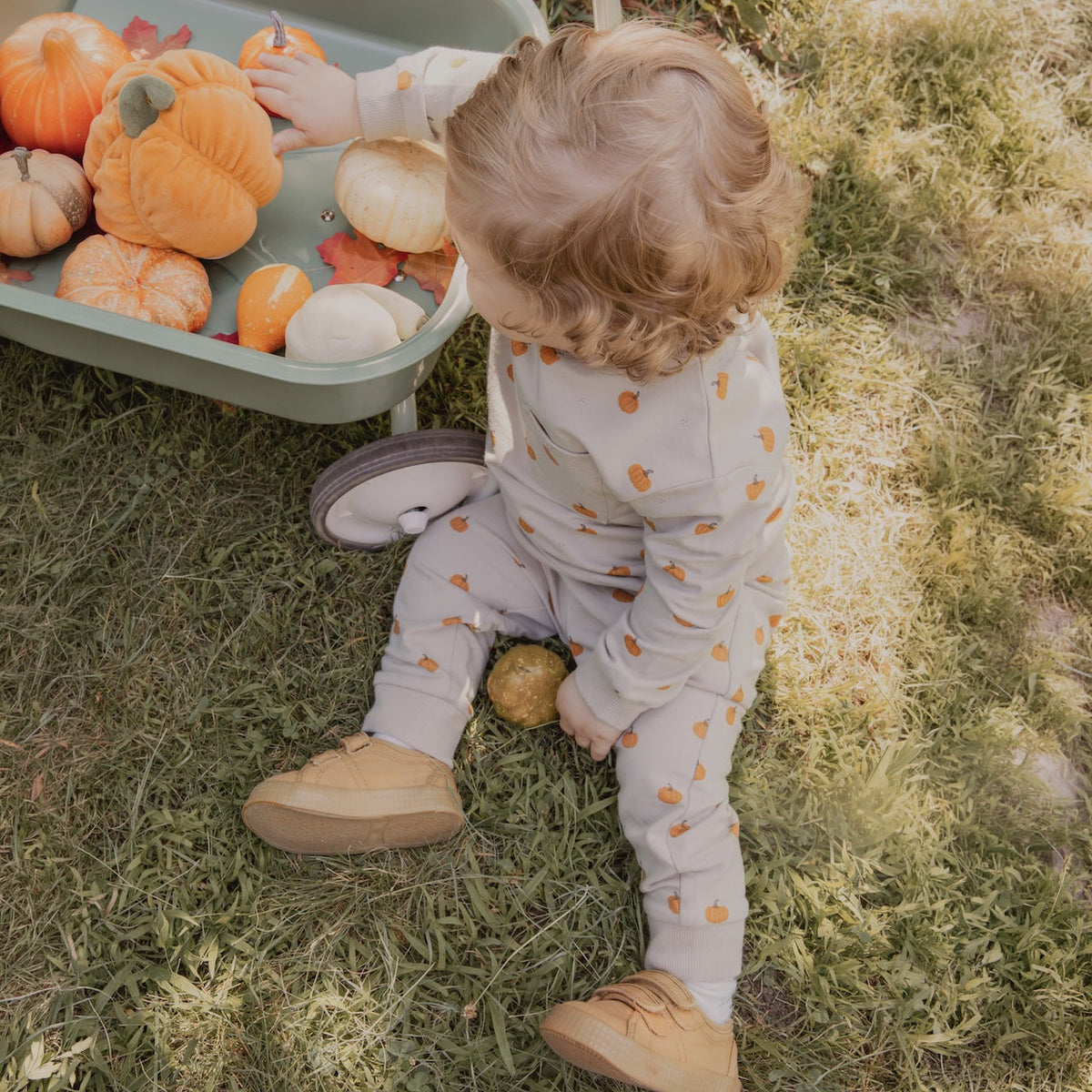 2 PC set Long Sleeve Top and Pants- Pumpkin