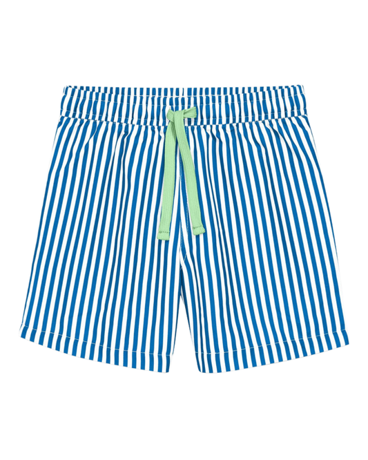 Blueberry Striped Swim Trunk