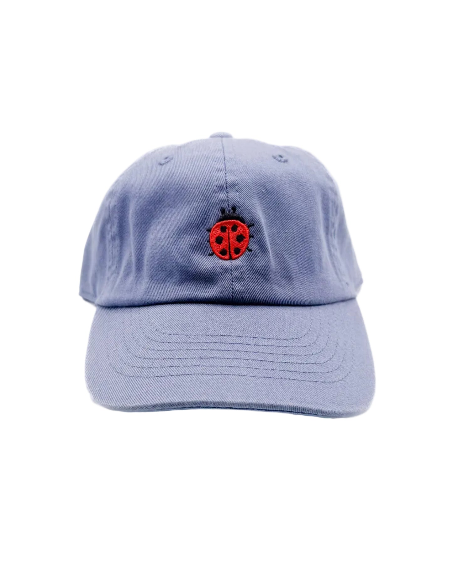 Tiny Ladybug Baseball Hat