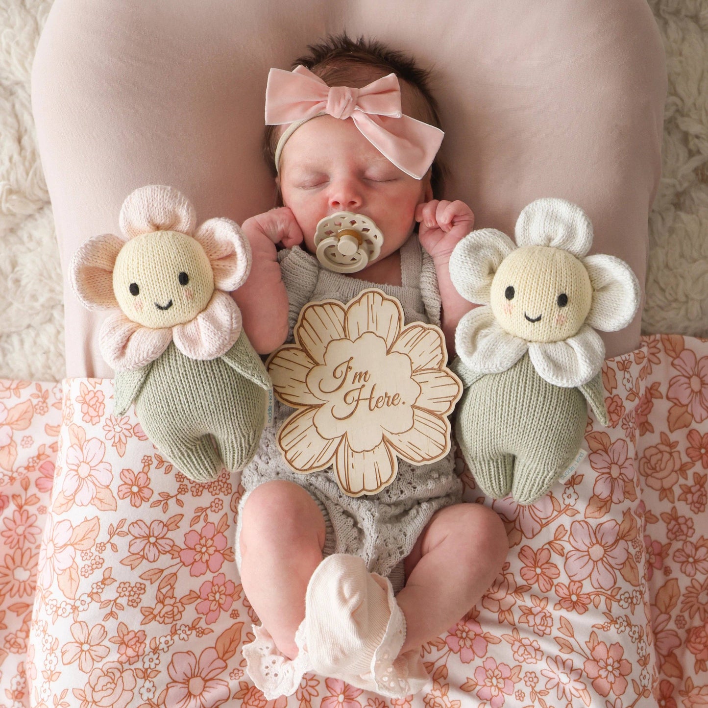 Baby Daisy - Blush Pink