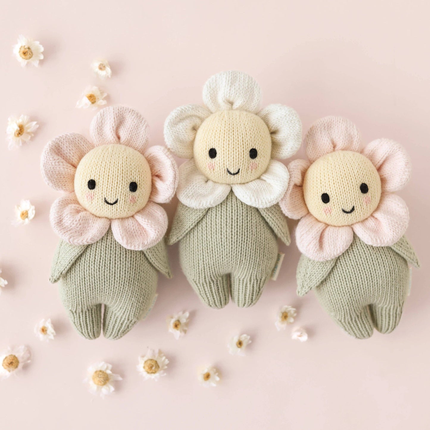Baby Daisy - Blush Pink