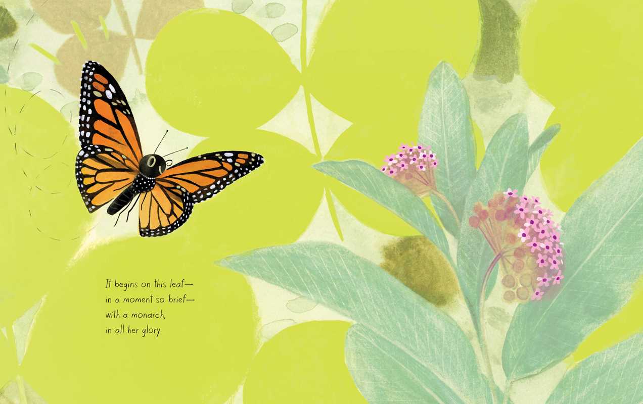 Monarch