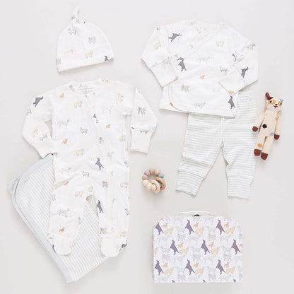 Nesting Box Baby Take Home Set- Tiny Dogs