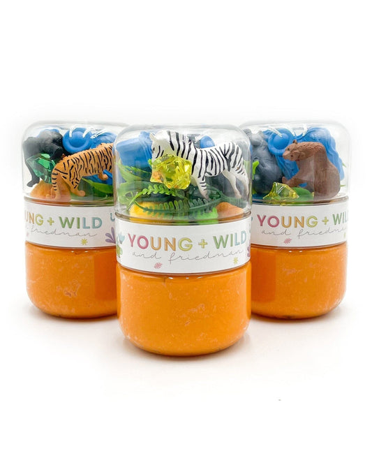 Grab & Go Dough Jar - Zoo